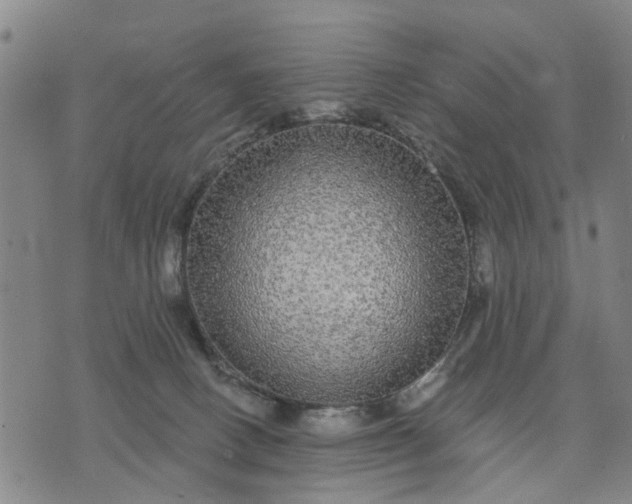 X0000076080082200610061626