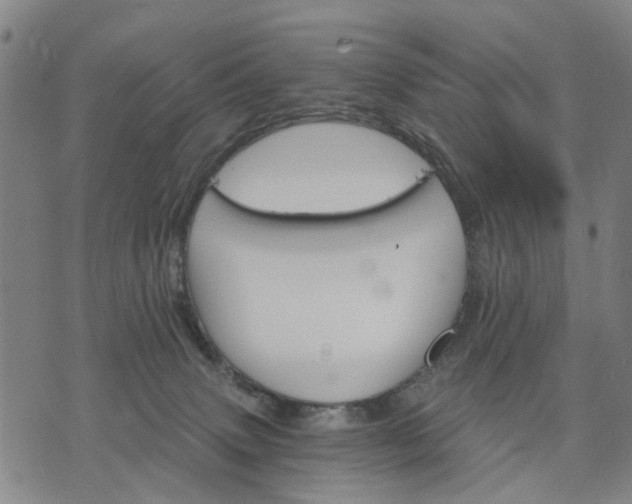 X0000076080083200610061627