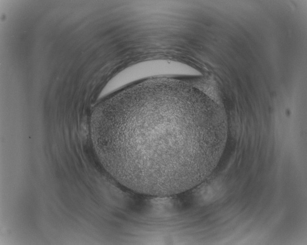 X0000076080085200610061627