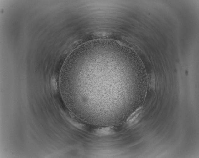 X0000076080086200610061627