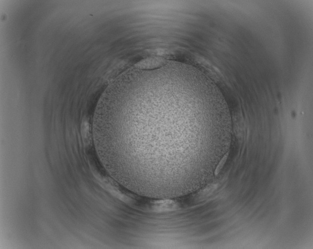 X0000076080087200610061627