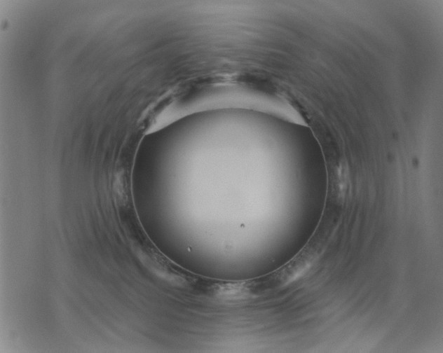 X0000076080088200610061627