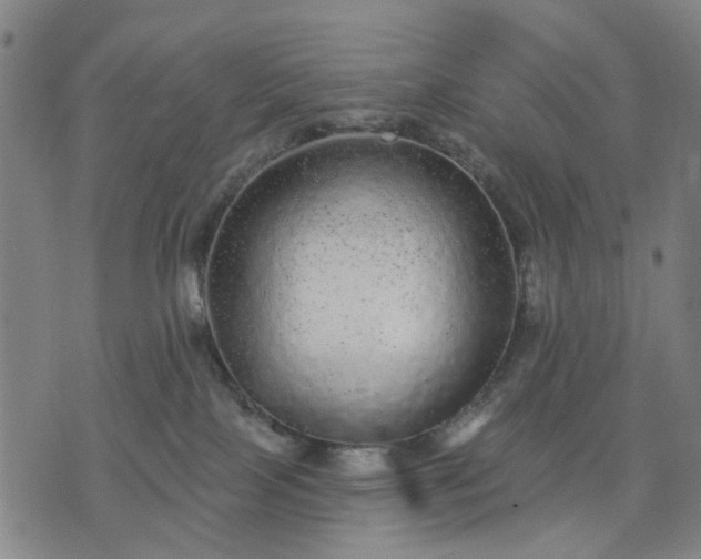 X0000076080089200610061627