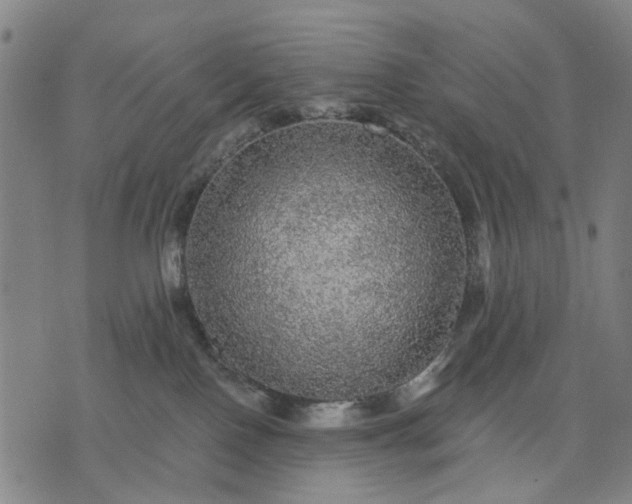 X0000076080090200610061627