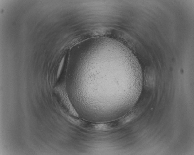 X0000076080091200610061627