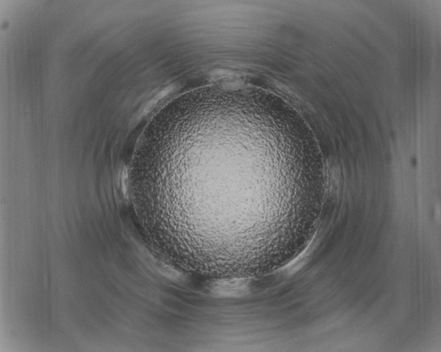 X0000076080094200610061627