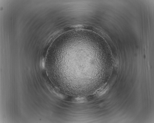 X0000076080095200610061627