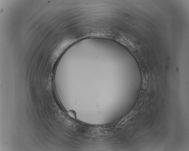 X0000076080098200610061626