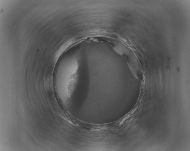 X0000076080099200610061626