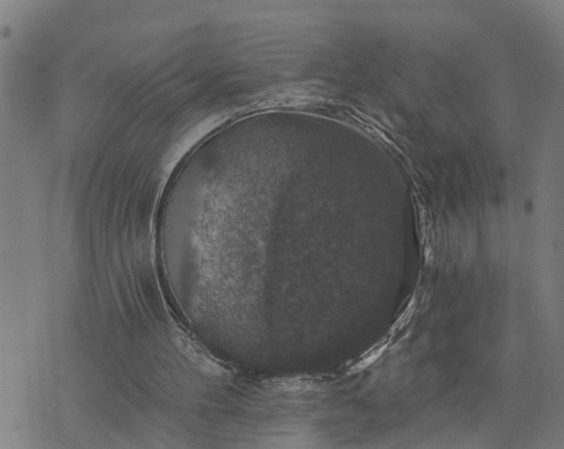 X0000076080100200610061626