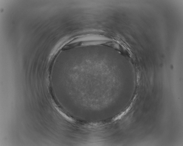 X0000076080101200610061626