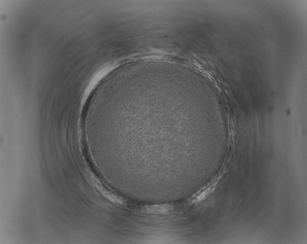 X0000076080102200610061626