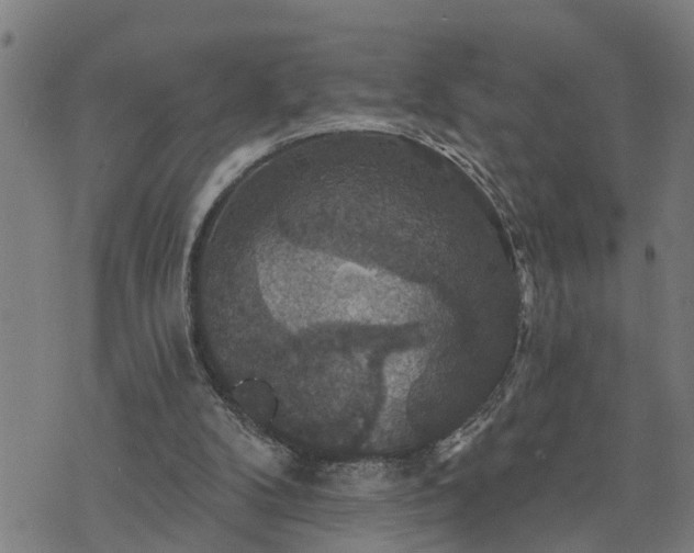 X0000076080104200610061626