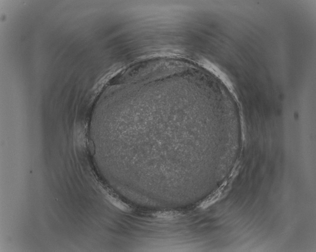 X0000076080105200610061626