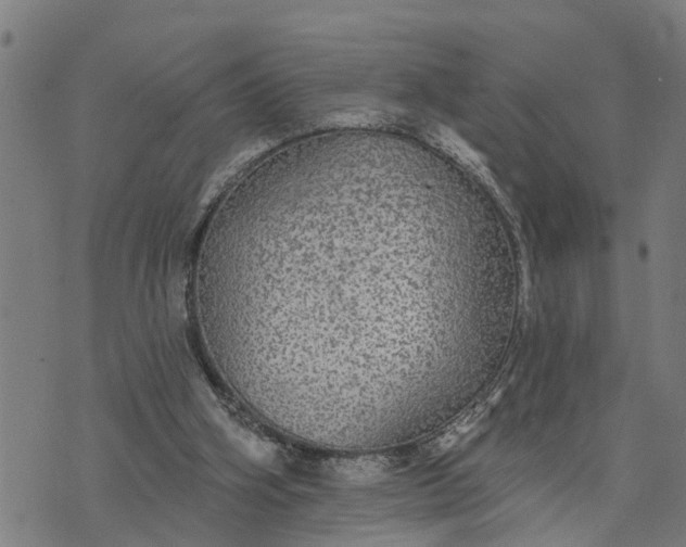 X0000076080106200610061626