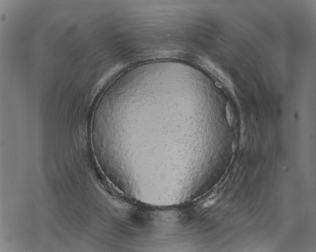 X0000076080107200610061626