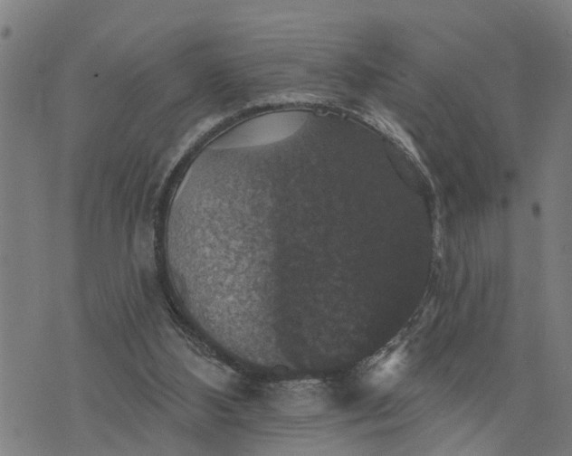 X0000076080108200610061626