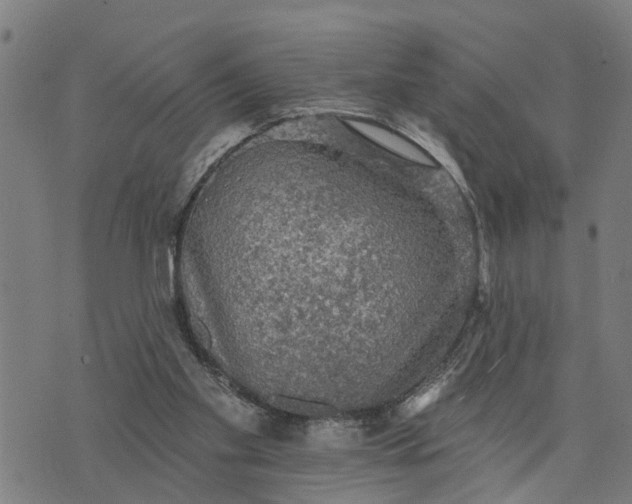 X0000076080109200610061626