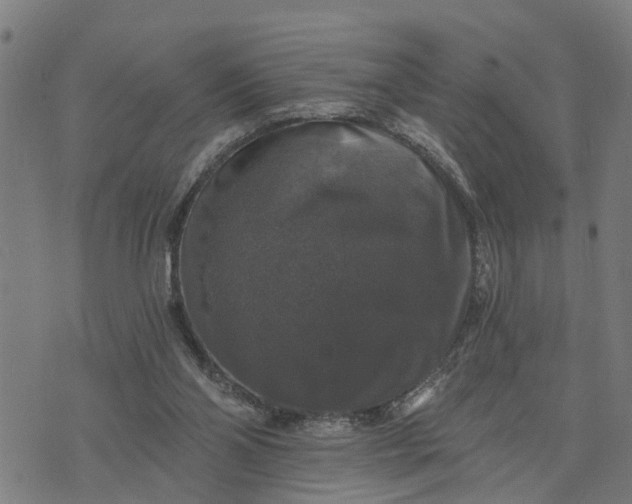 X0000076080110200610061626