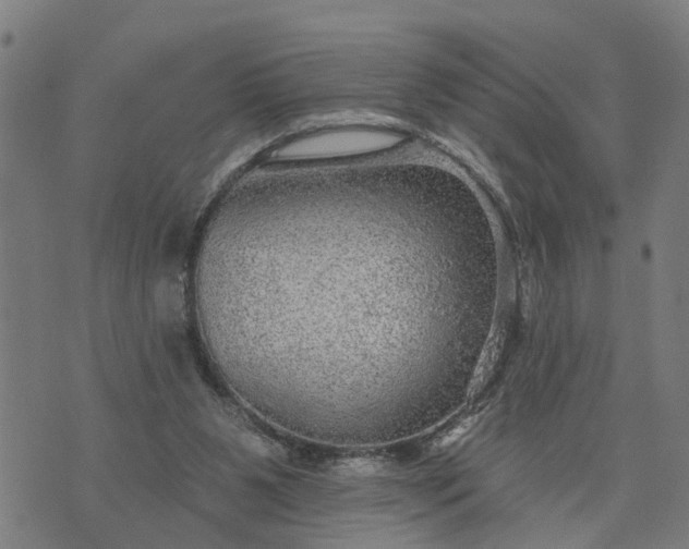 X0000076080111200610061626