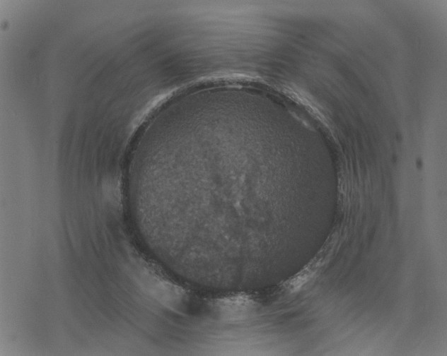 X0000076080112200610061626