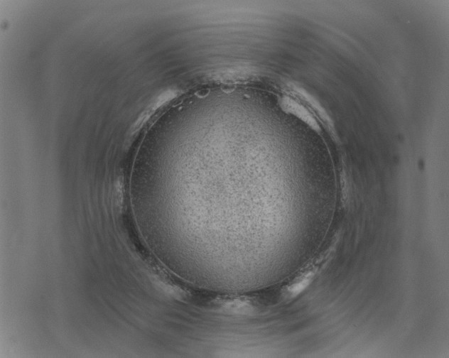 X0000076080113200610061626