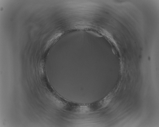 X0000076080114200610061626