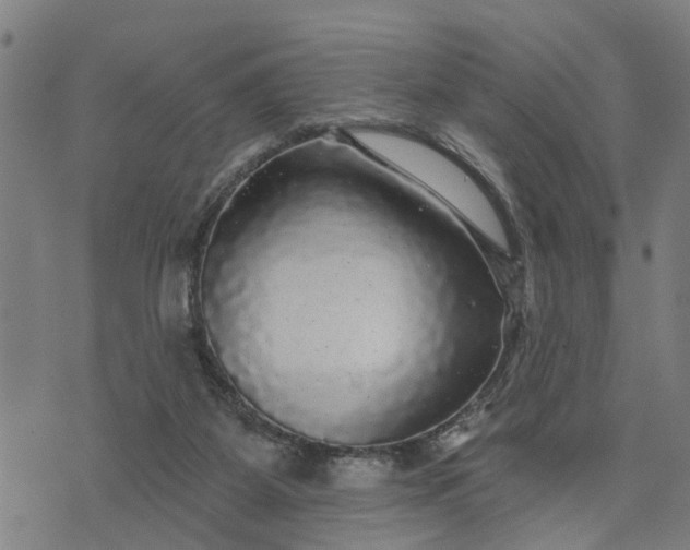 X0000076080115200610061626