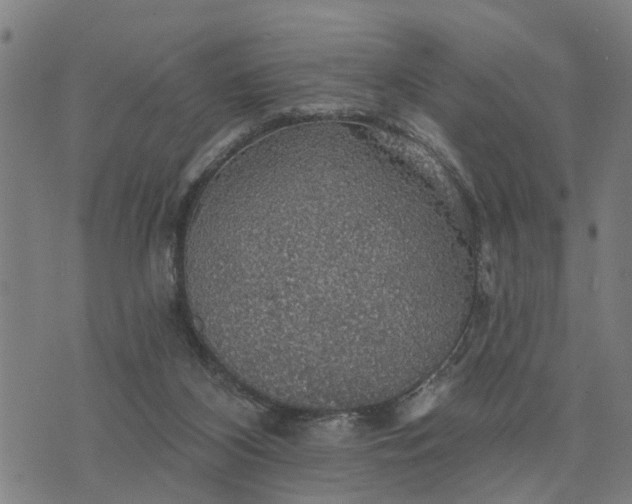 X0000076080116200610061626