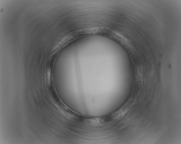 X0000076080118200610061626