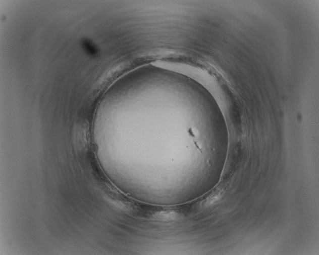 X0000076080119200610061626