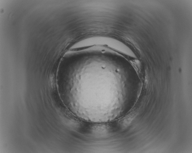 X0000076080123200610061626