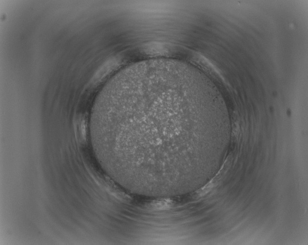 X0000076080124200610061626