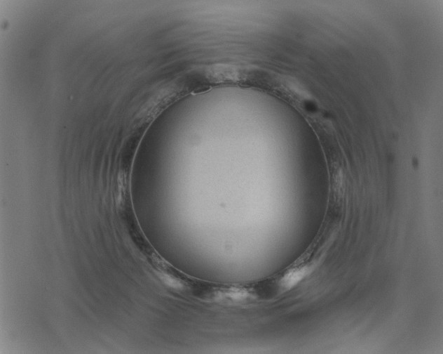 X0000076080125200610061625