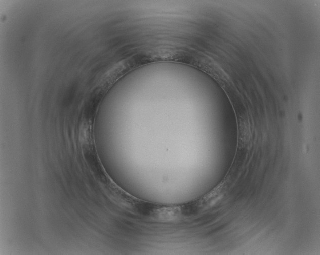 X0000076080126200610061625