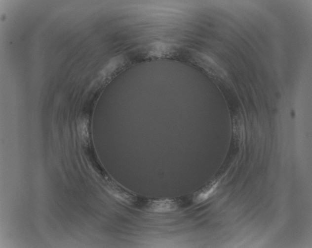 X0000076080127200610061625