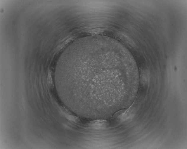 X0000076080128200610061625