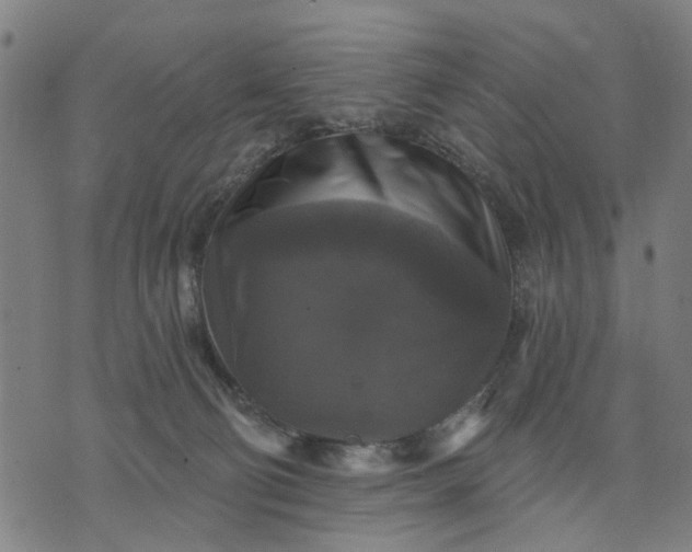 X0000076080130200610061625