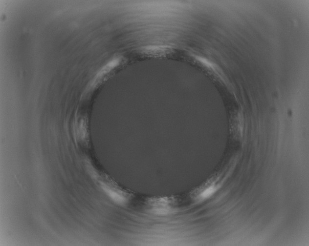 X0000076080131200610061625