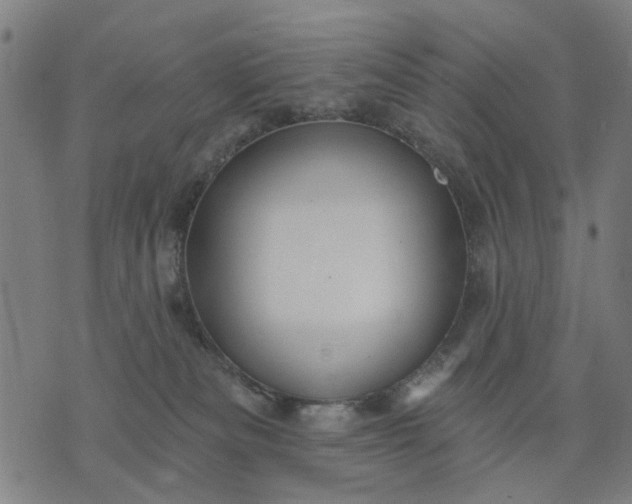 X0000076080133200610061625