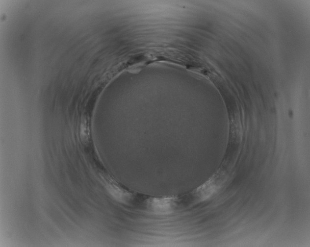 X0000076080134200610061625