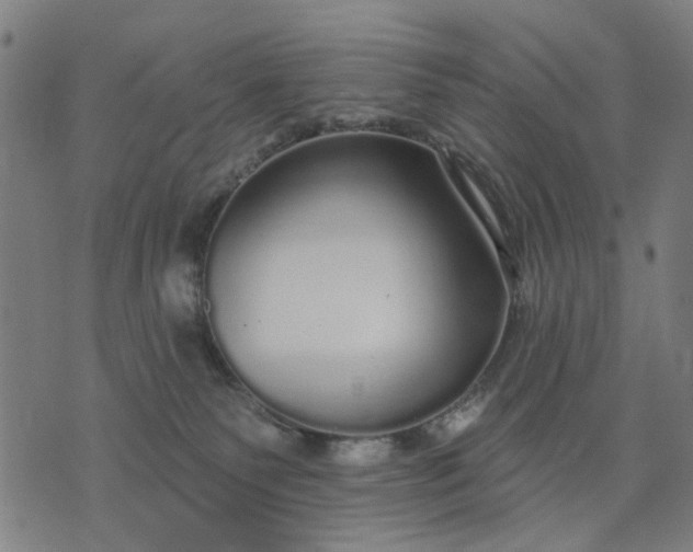 X0000076080135200610061625