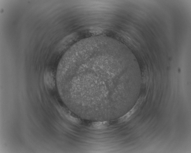 X0000076080136200610061625