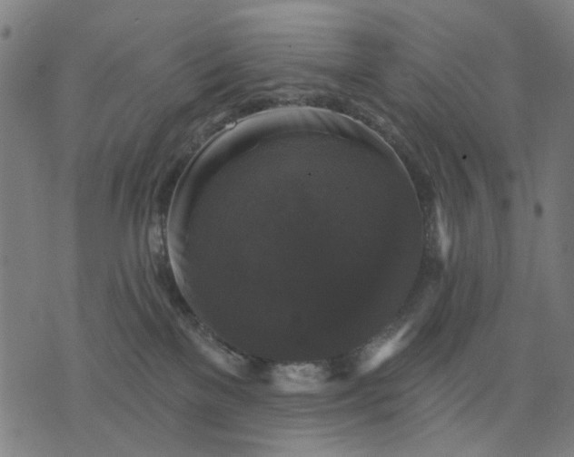 X0000076080137200610061625