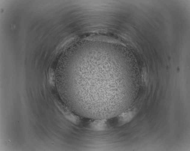 X0000076080138200610061625