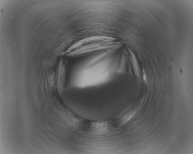 X0000076080139200610061625