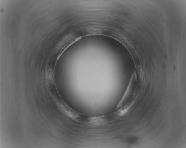 X0000076080141200610061625