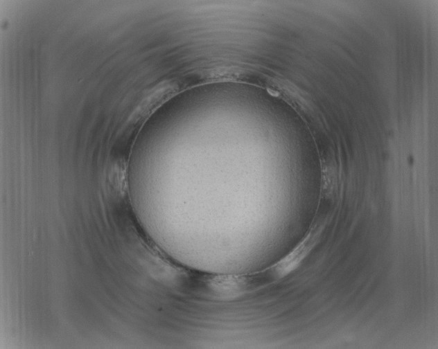 X0000076080142200610061625