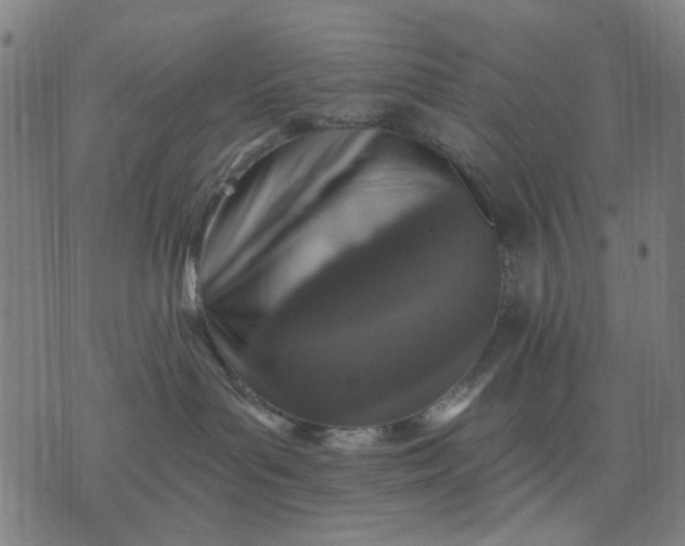 X0000076080143200610061625