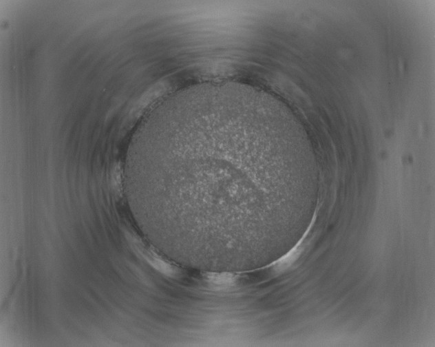 X0000076080144200610061625